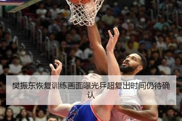 樊振东恢复训练画面曝光乒超复出时间仍待确认